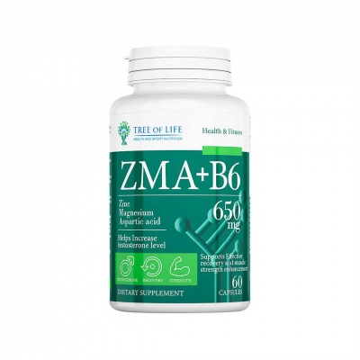  Tree of life ZMA+B6 60 