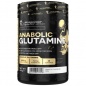  Kevin Levrone Anabolic Glutamine 300 